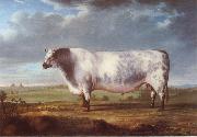 Thomas Alder A Prize Bull Germany oil painting artist